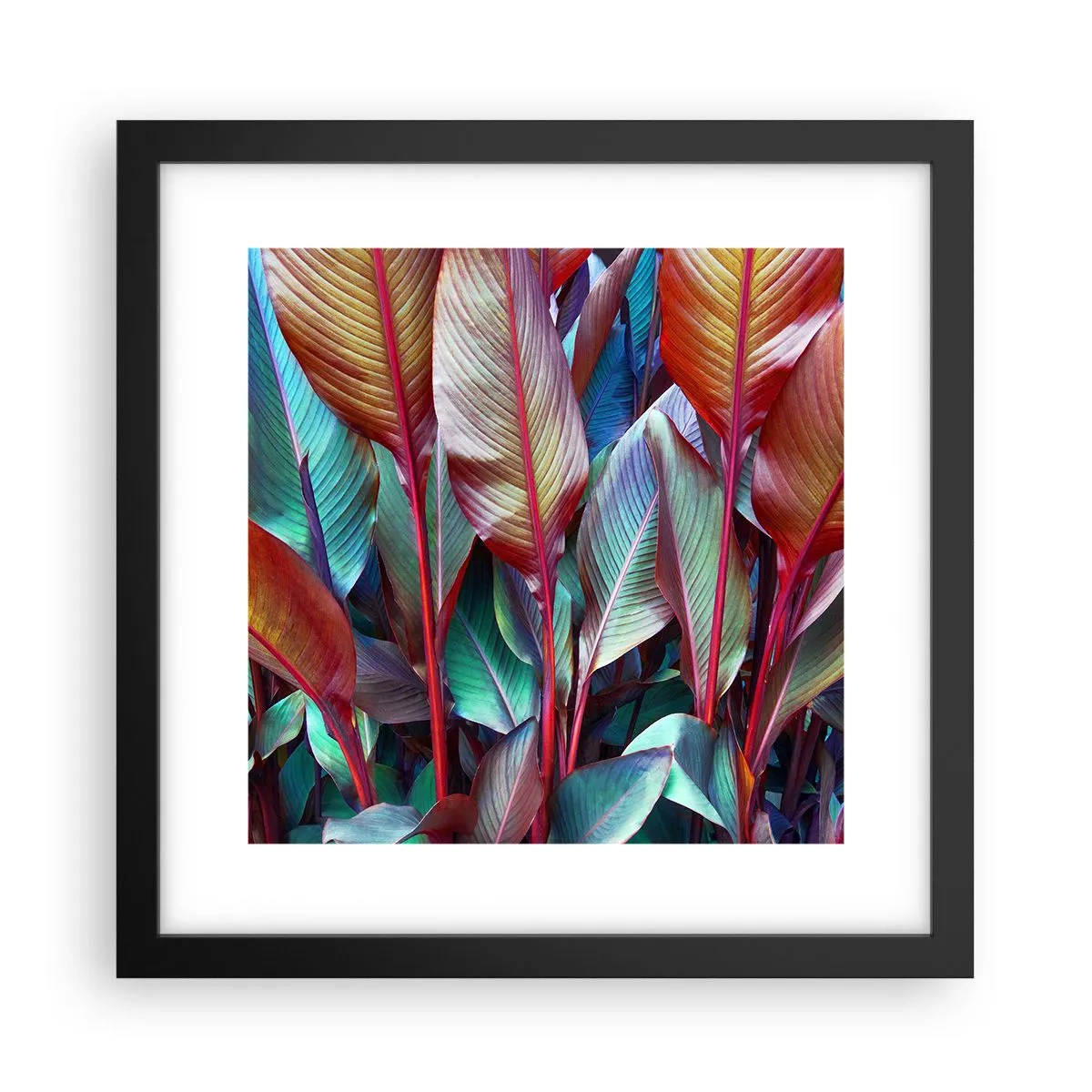 Poster în ramă neagră - Tufiș colorat - 30x30 cm