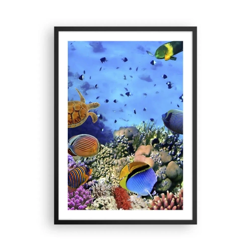 Poster în ramă neagră - Lumea subacvatică a unui recif de corali cu pești tropicali - 50x70cm - Și ce știm noi despre viață... - Decorațiune modernă pentru perete pentru living și dormitor ARTTOR