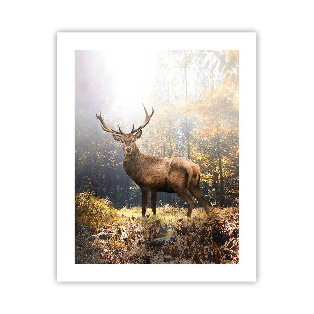 Poster - Măreție calmă - 40x50 cm