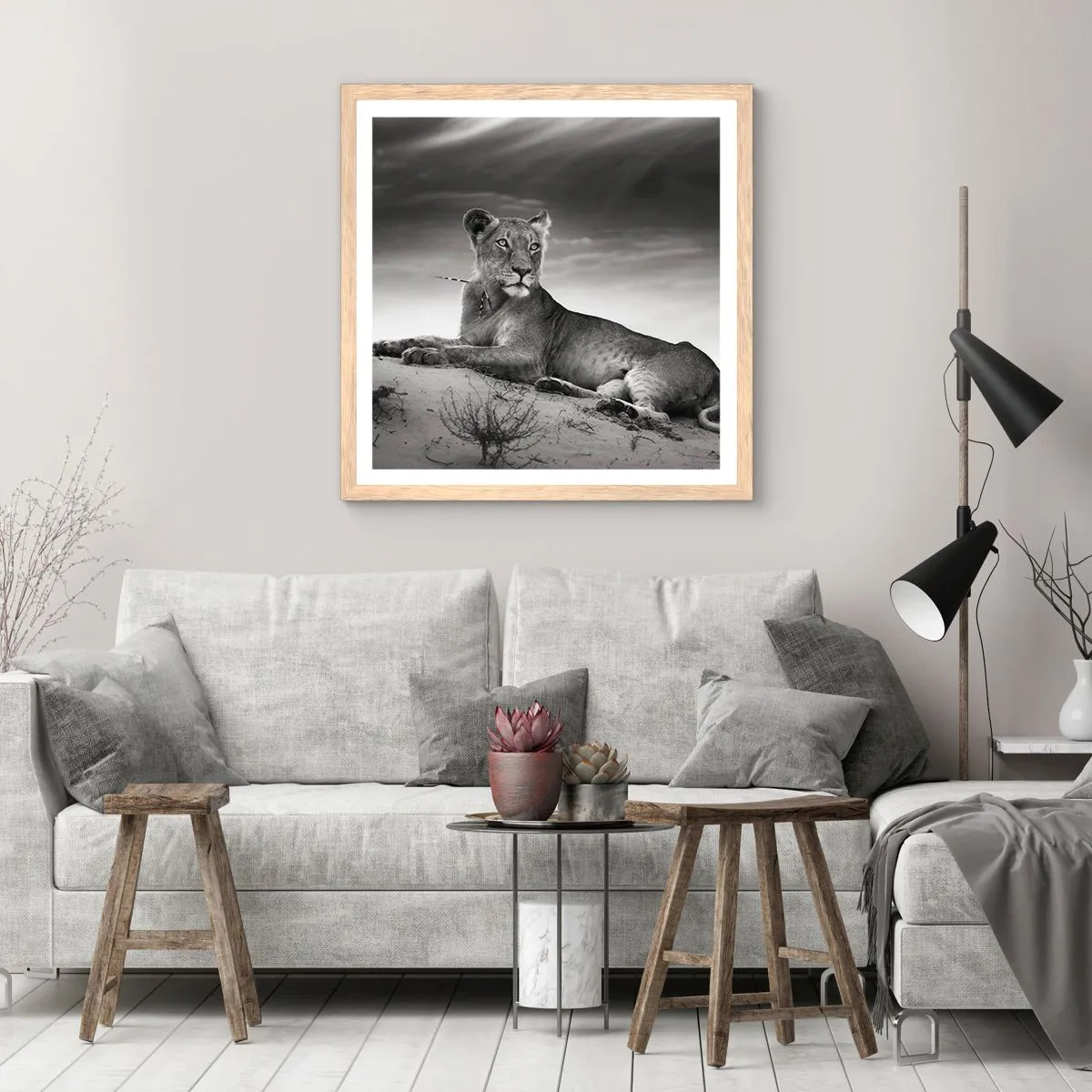 Poster în ramă de stejar deschis - Odihna reginei deșertului - 50x50 cm