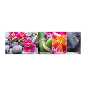 Mostră tapet autocolant Deluxe Sticker - Frig și căldură - Flori, Pietre, Orhidee - 100x30 cm