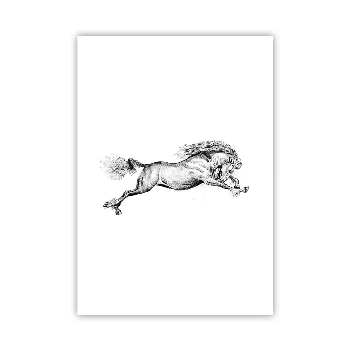 Poster - Oprit din galop - 70x100 cm