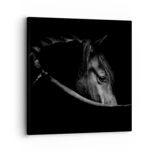 Tablou pe pânză - Prințul negru - 30x30 cm