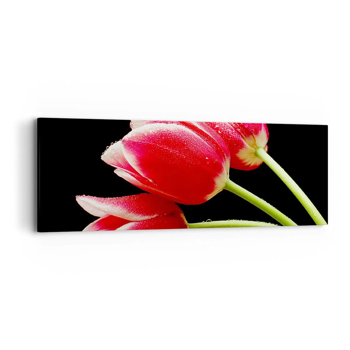 Tablou pe pânză - Promisiunea unei iubiri pure - 90x30 cm