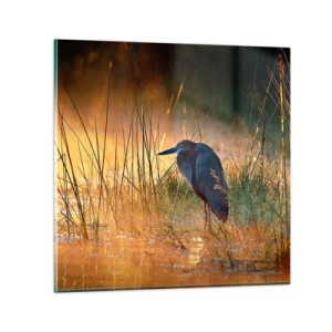 Tablou pe sticlă - Lasă-mă în pace cu aceste fotografii - 50x50 cm