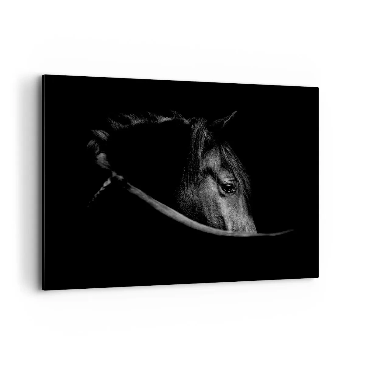 Tablou pe pânză - Prințul negru - 100x70 cm