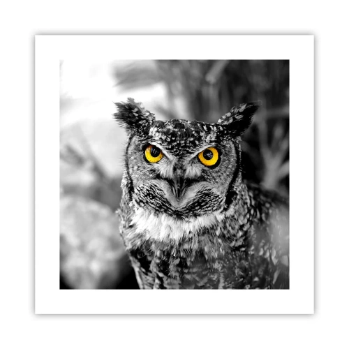 Poster - Nimic nu poate fi ascuns - 40x40 cm