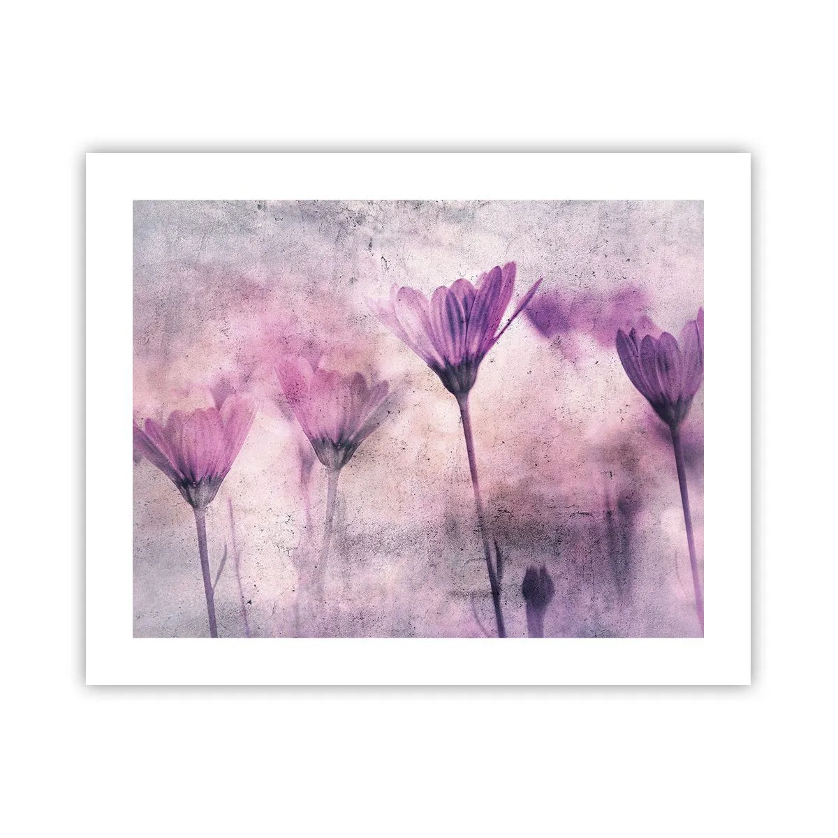 Poster - Un vis de flori - 50x40 cm