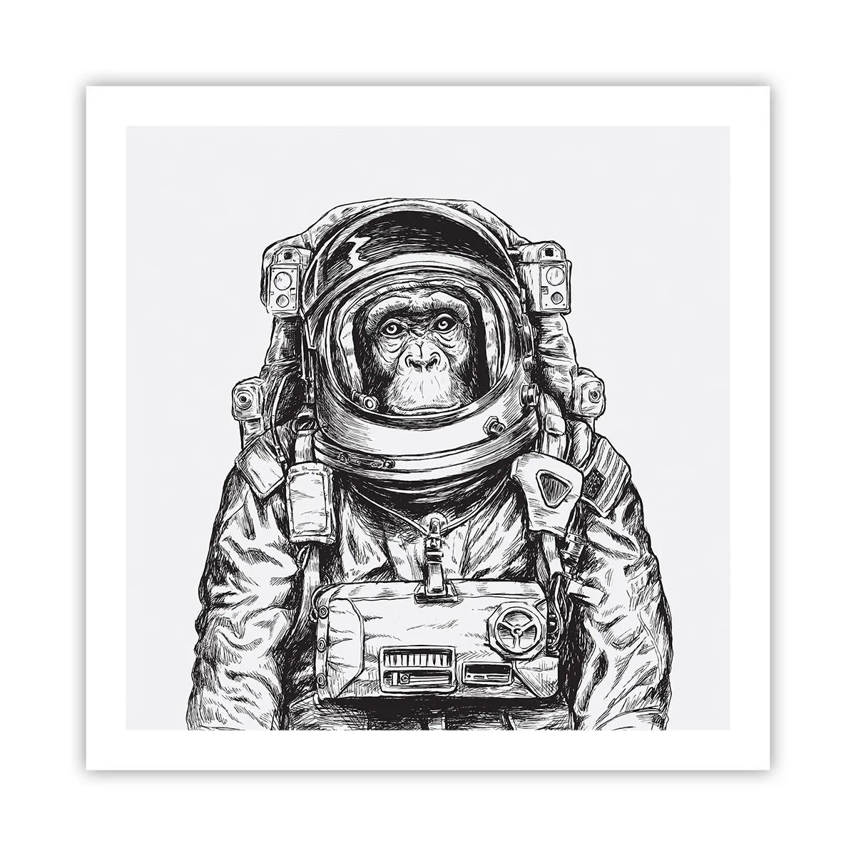 Poster - Evoluție alternativă - 60x60 cm