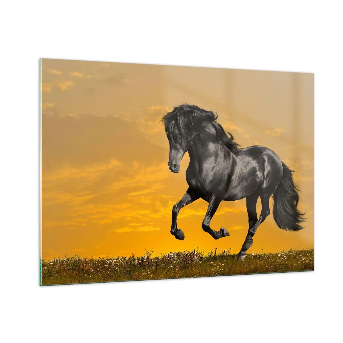 Tablou pe sticlă - Frumos, liber și sălbatic - 100x70 cm