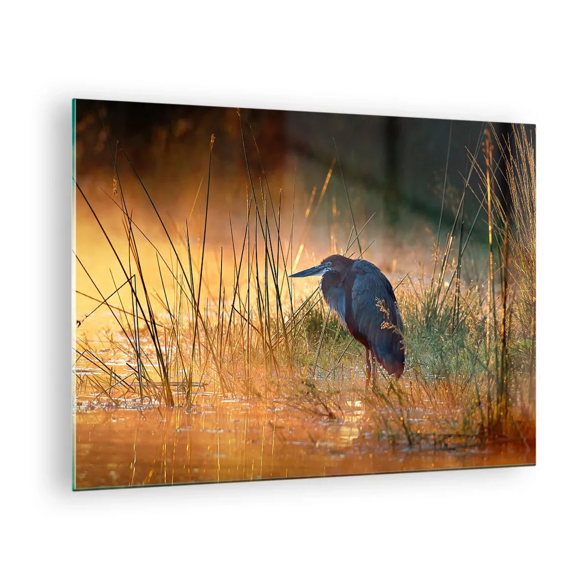 Tablou pe sticlă - Apus de soare peste un lac cu un stârc - 70x50cm - Lasă-mă în pace cu aceste fotografii - Decorațiune modernă pentru perete pentru living și dormitor ARTTOR