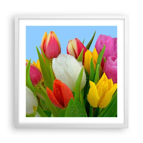Poster în ramă albă - Un curcubeu floral în picături de rouă - 50x50 cm