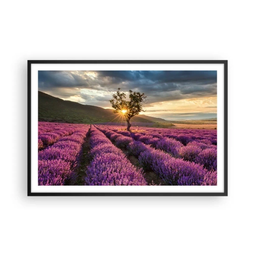 Poster în ramă neagră - Aroma în liliac - 91x61 cm