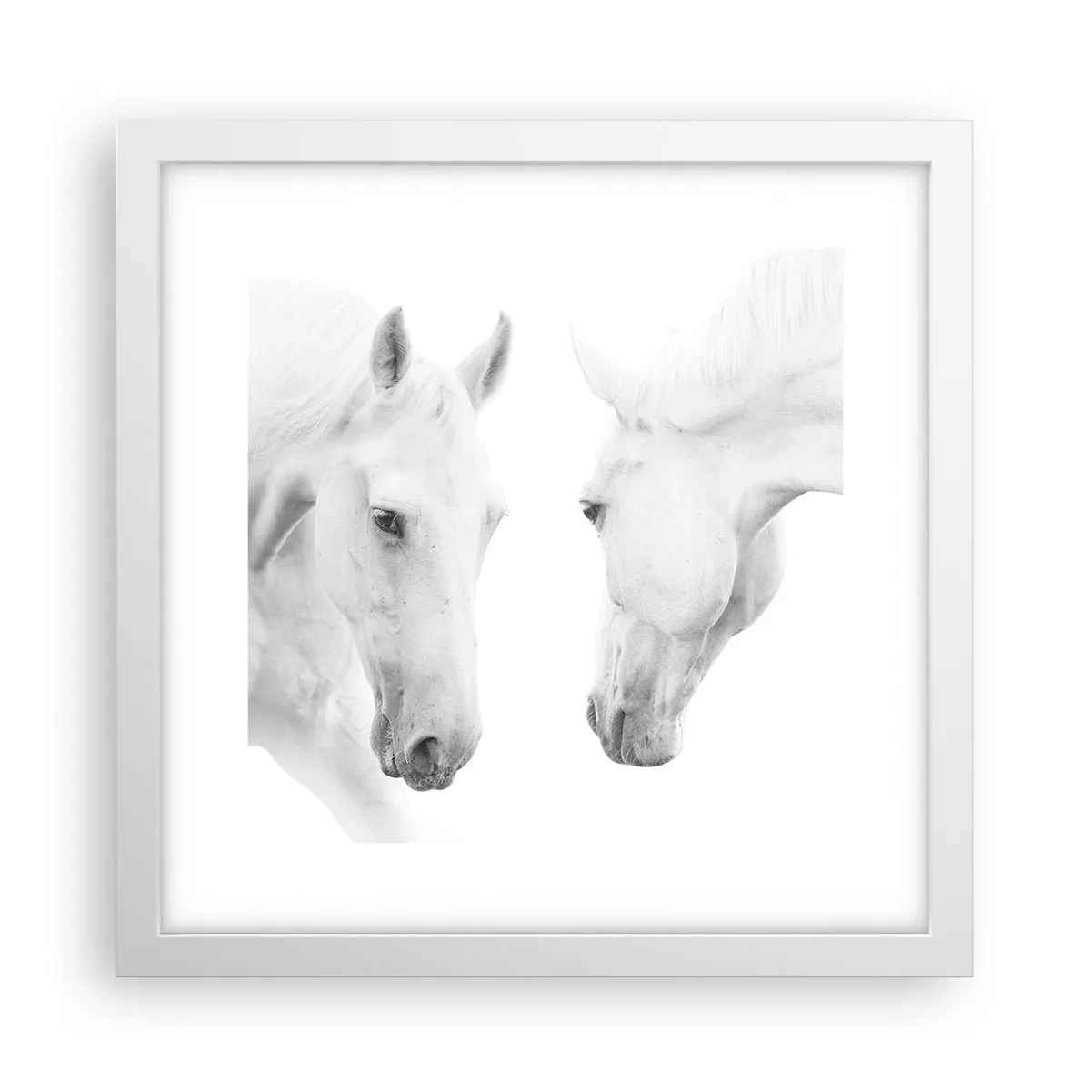 Poster în ramă albă - Este aceasta o prietenie...? - 30x30 cm