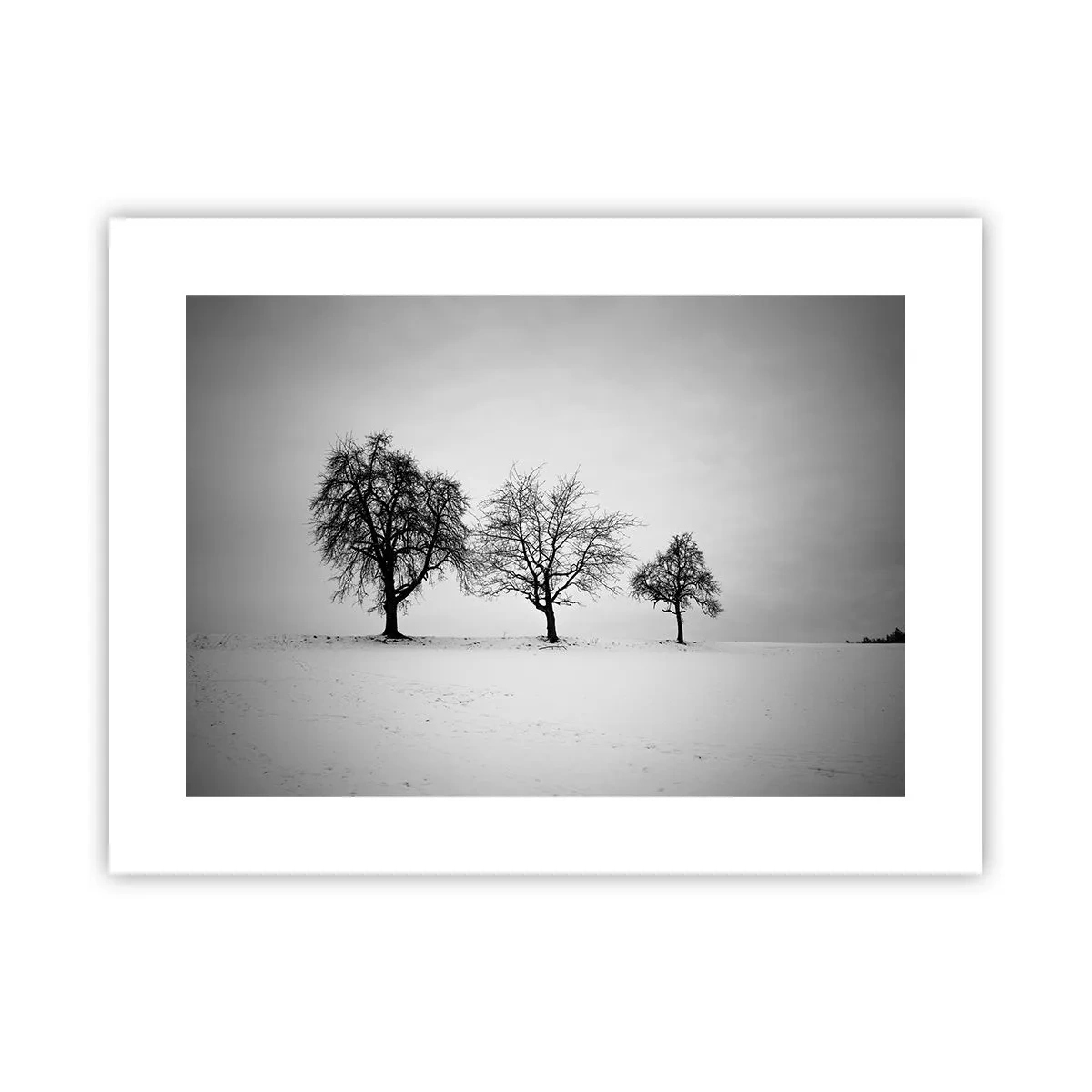 Poster - La ce visează? - 40x30 cm