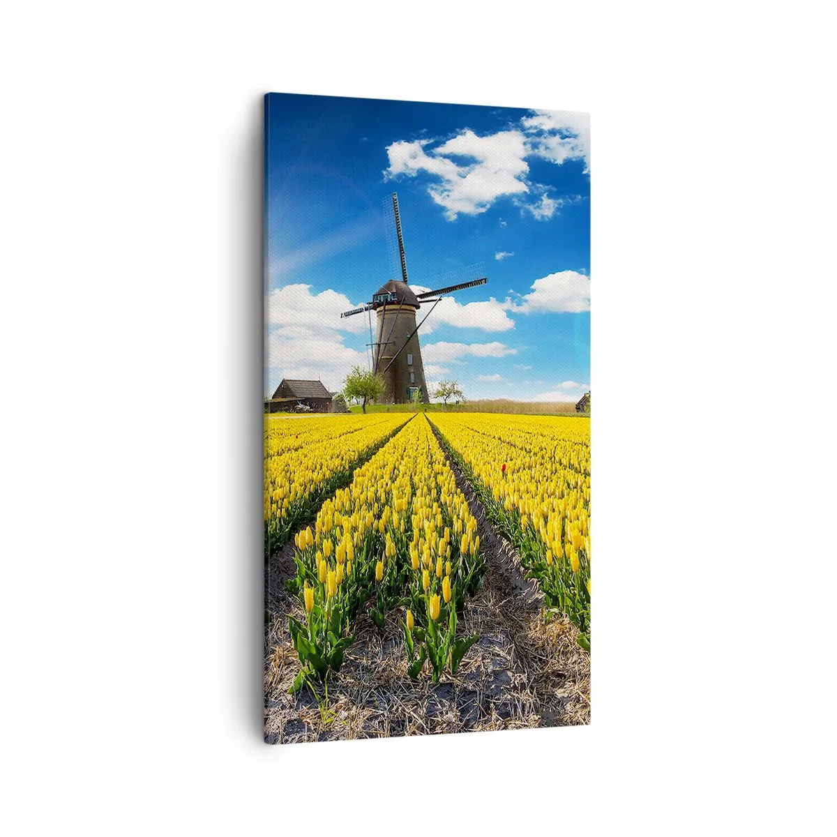 Tablou pe pânză - Olandez pe cât se poate - 45x80 cm