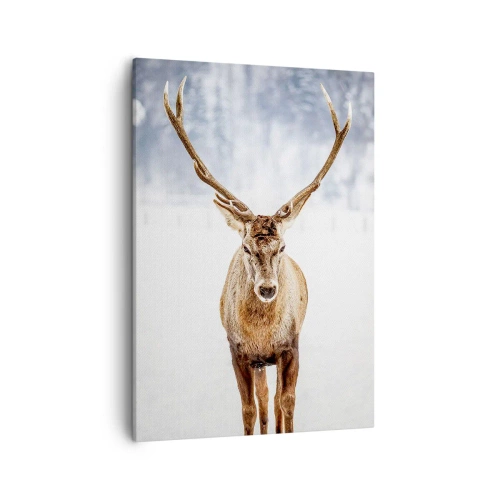 Tablou pe pânză Canvas - Direct din ceața de zăpadă - 50x70 cm