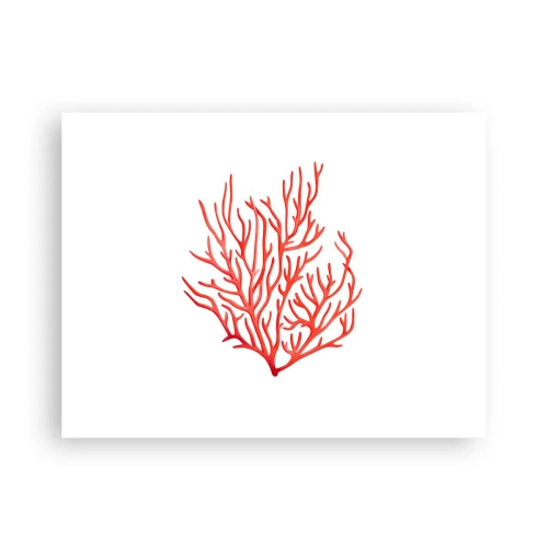Poster - Coral filigranat - 40x30 cm