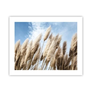 Poster - Mângâiere însorită și vântoasă - 50x40 cm