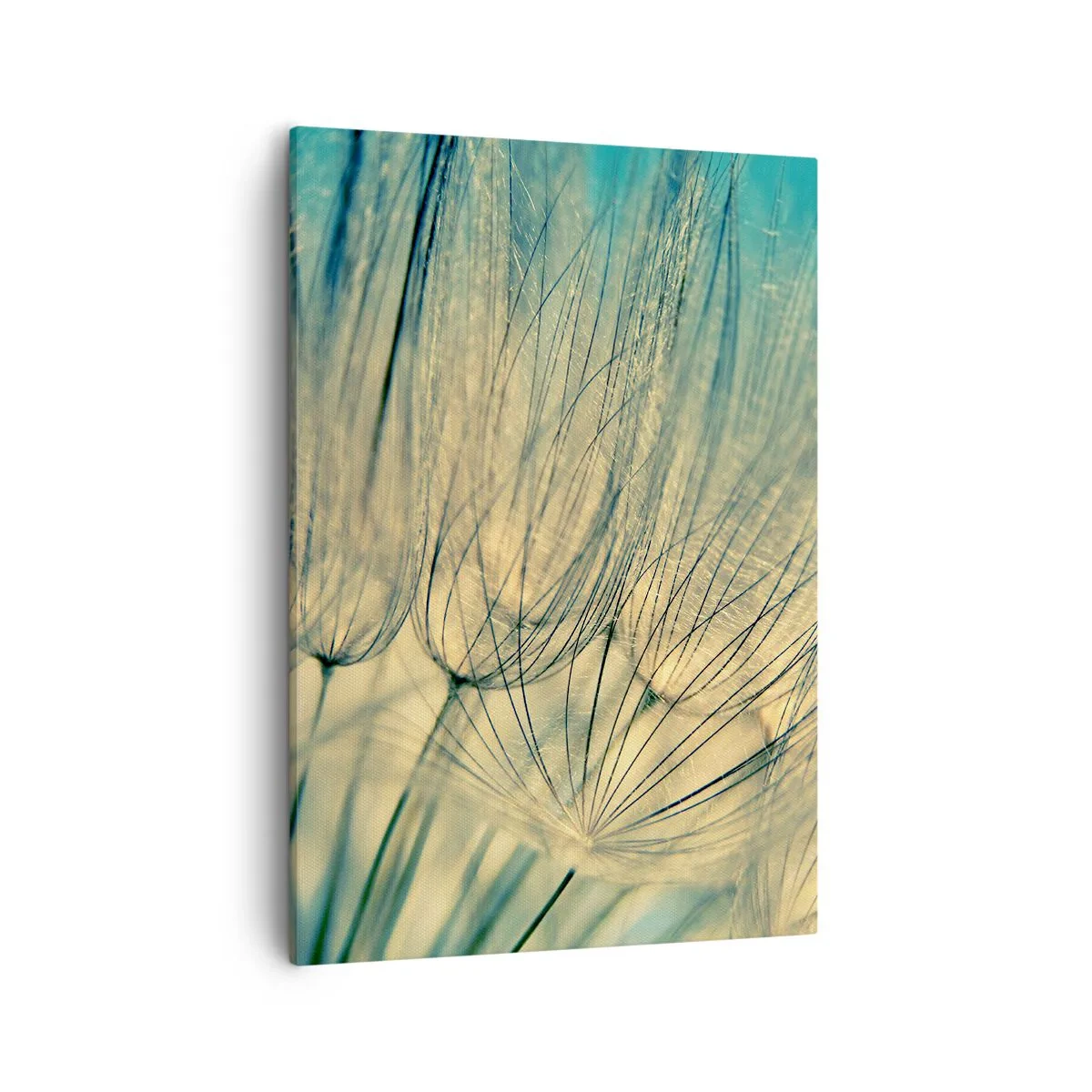 Tablou pe pânză - Așteptând vântul - 50x70 cm