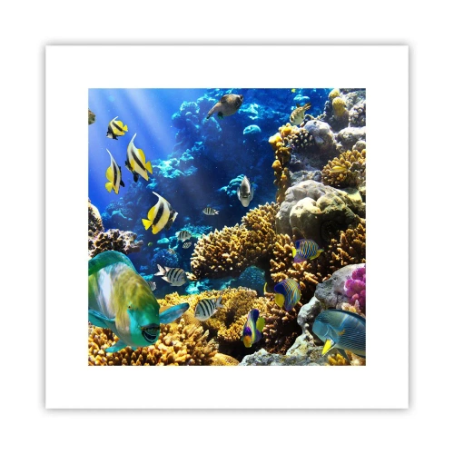 Poster - Trafic intens pe traseul de vacanță - 30x30 cm