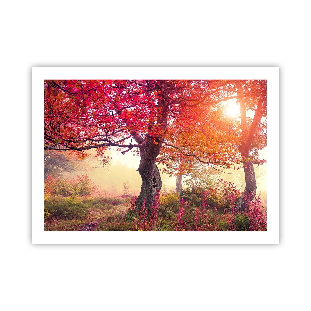 Poster - O frenezie de înflorire - 70x50 cm