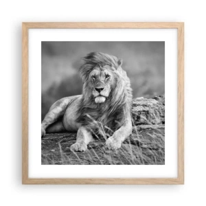 Poster în ramă de stejar deschis - Siesta regală - 40x40 cm