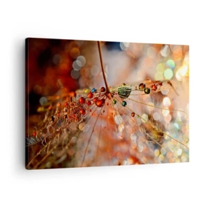 Tablou pe pânză Canvas - Fotografie macro a unei picături de apă pe o plantă delicată - 70x50cm - Înfipt pe pânza de păianjen - Decorațiune modernă pentru perete pentru living și dormitor ARTTOR