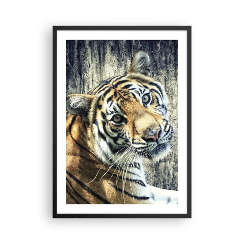 Poster în ramă neagră - Prim-plan al unui tigru pe un zid natural - 50x70cm - Portret în fluxuri de lumină - Decorațiune modernă pentru perete pentru living și dormitor ARTTOR