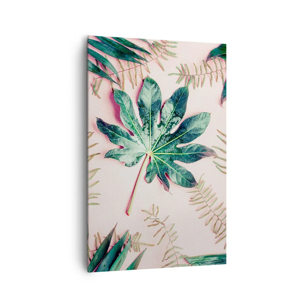 Tablou pe pânză - Studiu de verdeață pe un fundal roz - 80x120 cm