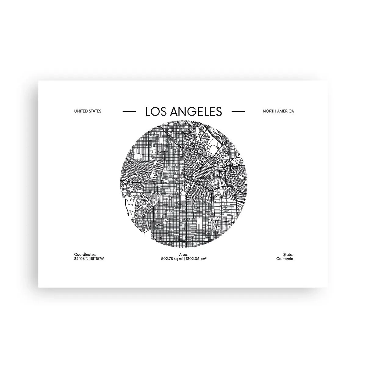 Poster - Anatomia Los Angeles - 70x50 cm