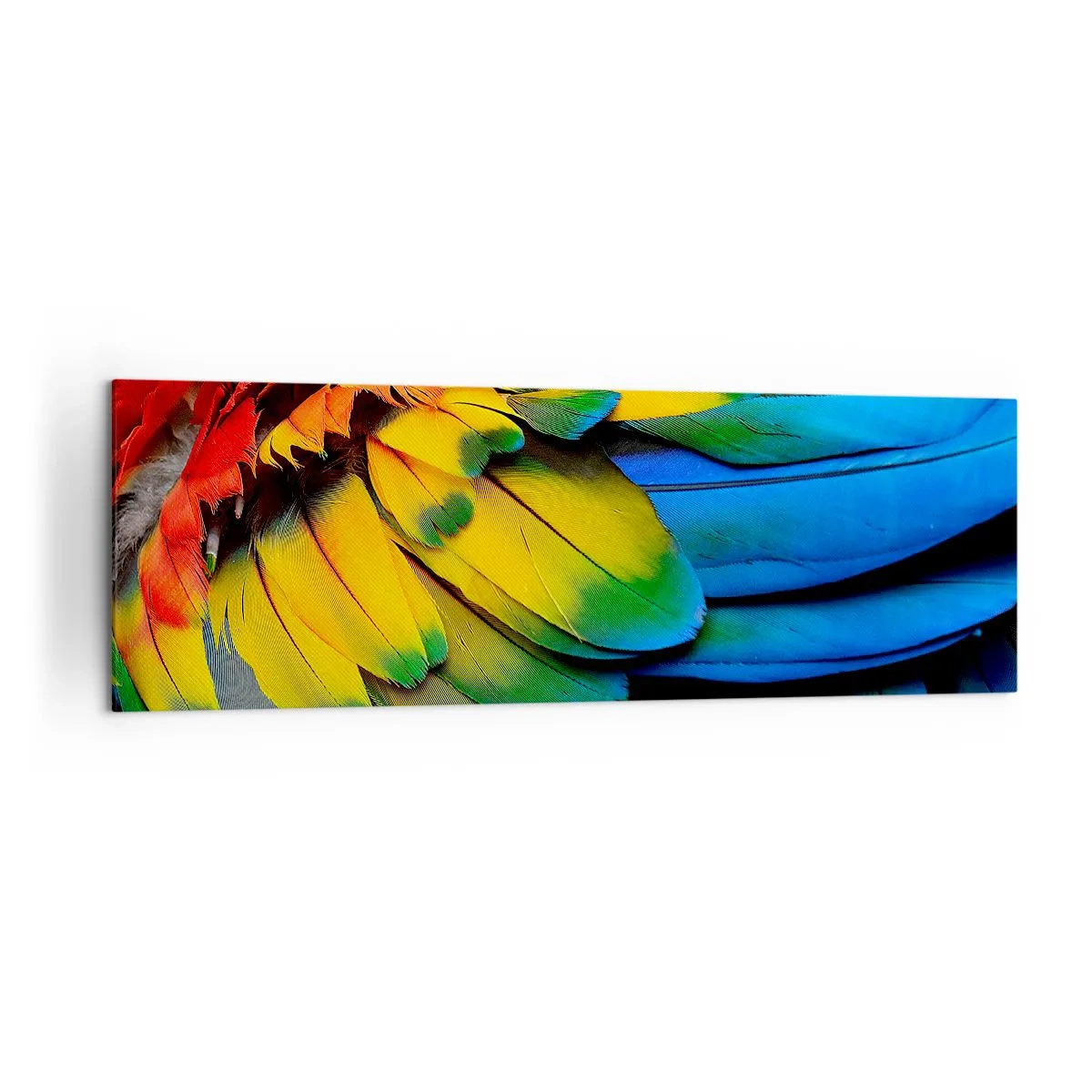 Tablou pe pânză - Pasăre de paradis - 160x50 cm