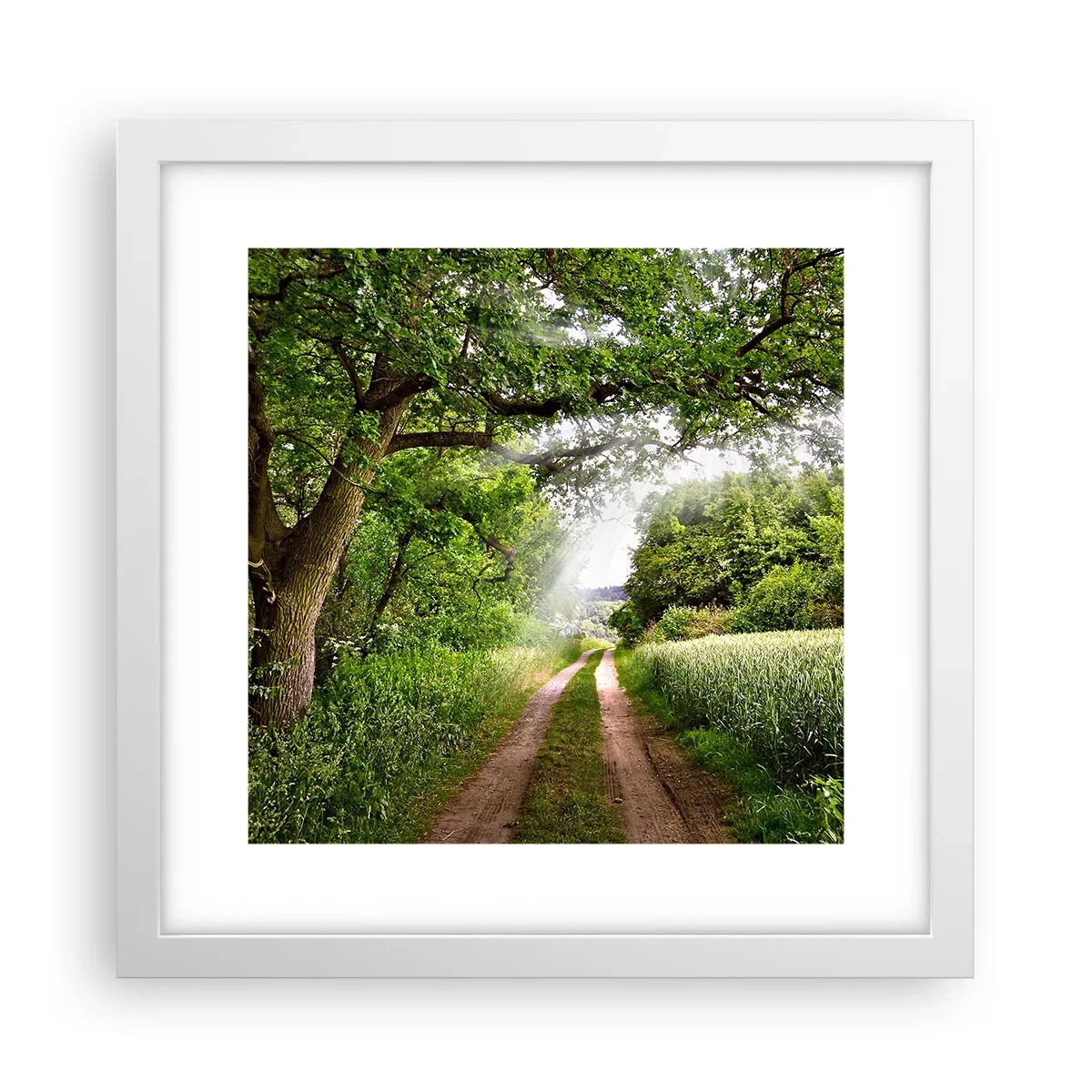 Poster în ramă albă - Et in Arcadia ego - 30x30 cm