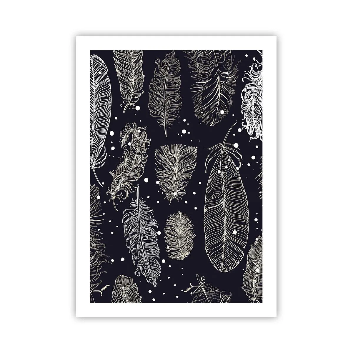 Poster - Dantelă cu pene - 50x70 cm