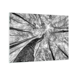 Tablou pe sticlă - Copaci alb-negru fotografiați de jos spre cer - 70x50cm - Cursa spre lumină - Decorațiune modernă pentru perete pentru living și dormitor ARTTOR