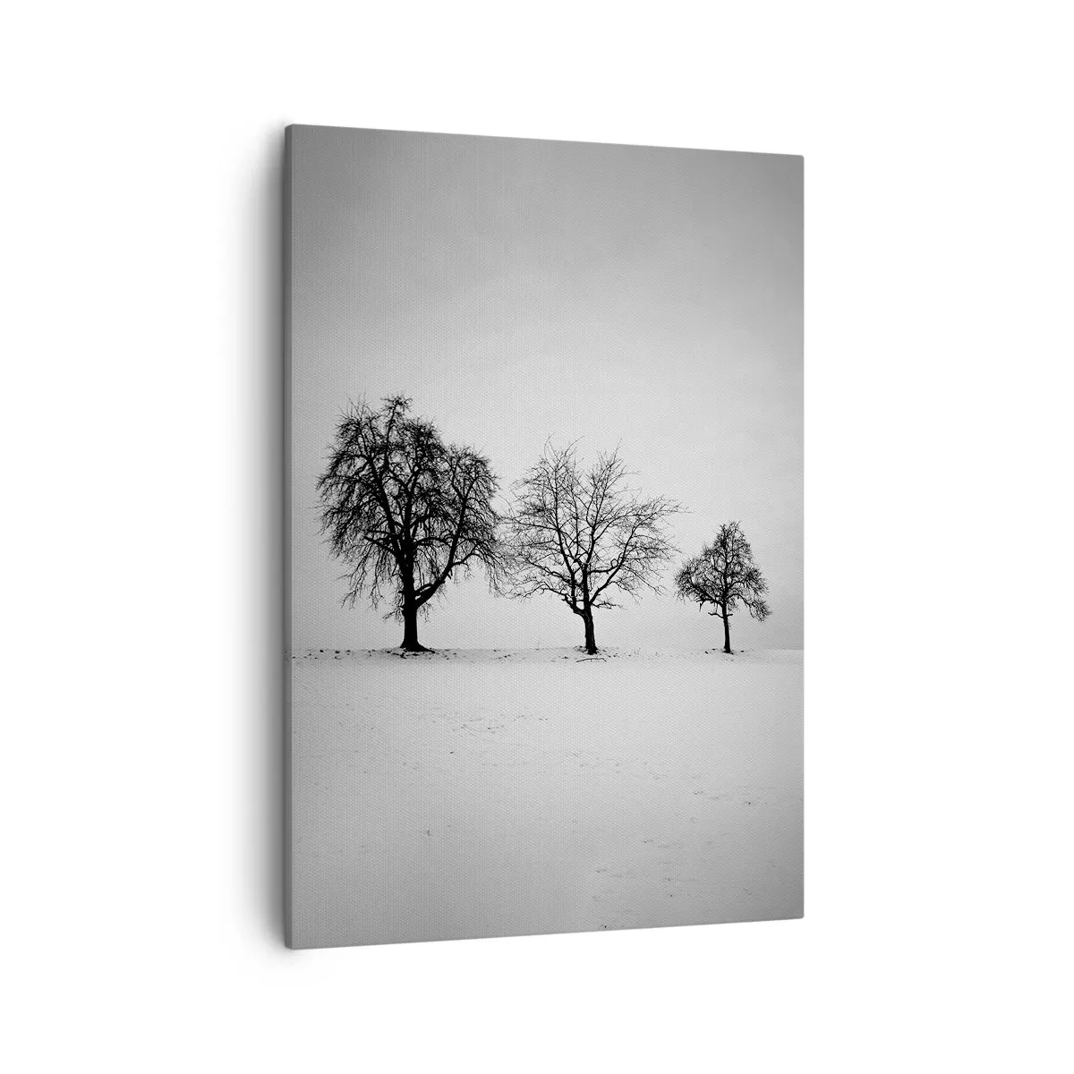 Tablou pe pânză - La ce visează? - 50x70 cm