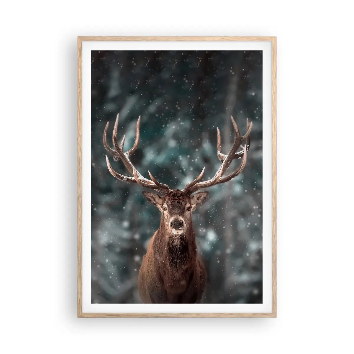 Poster în ramă de stejar deschis - Regele pădurii a fost încoronat - 70x100 cm