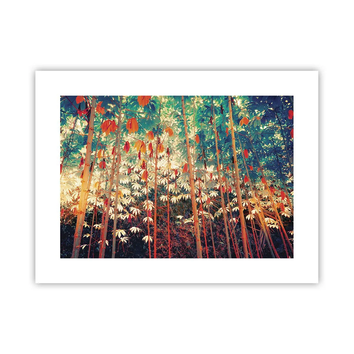 Poster - Viața secretă a frunzelor - 40x30 cm