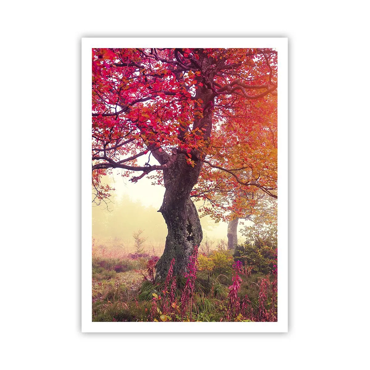 Poster - O frenezie de înflorire - 70x100 cm