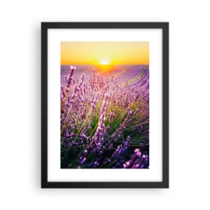 Poster în ramă neagră - Câmpul parfumat - 30x40 cm