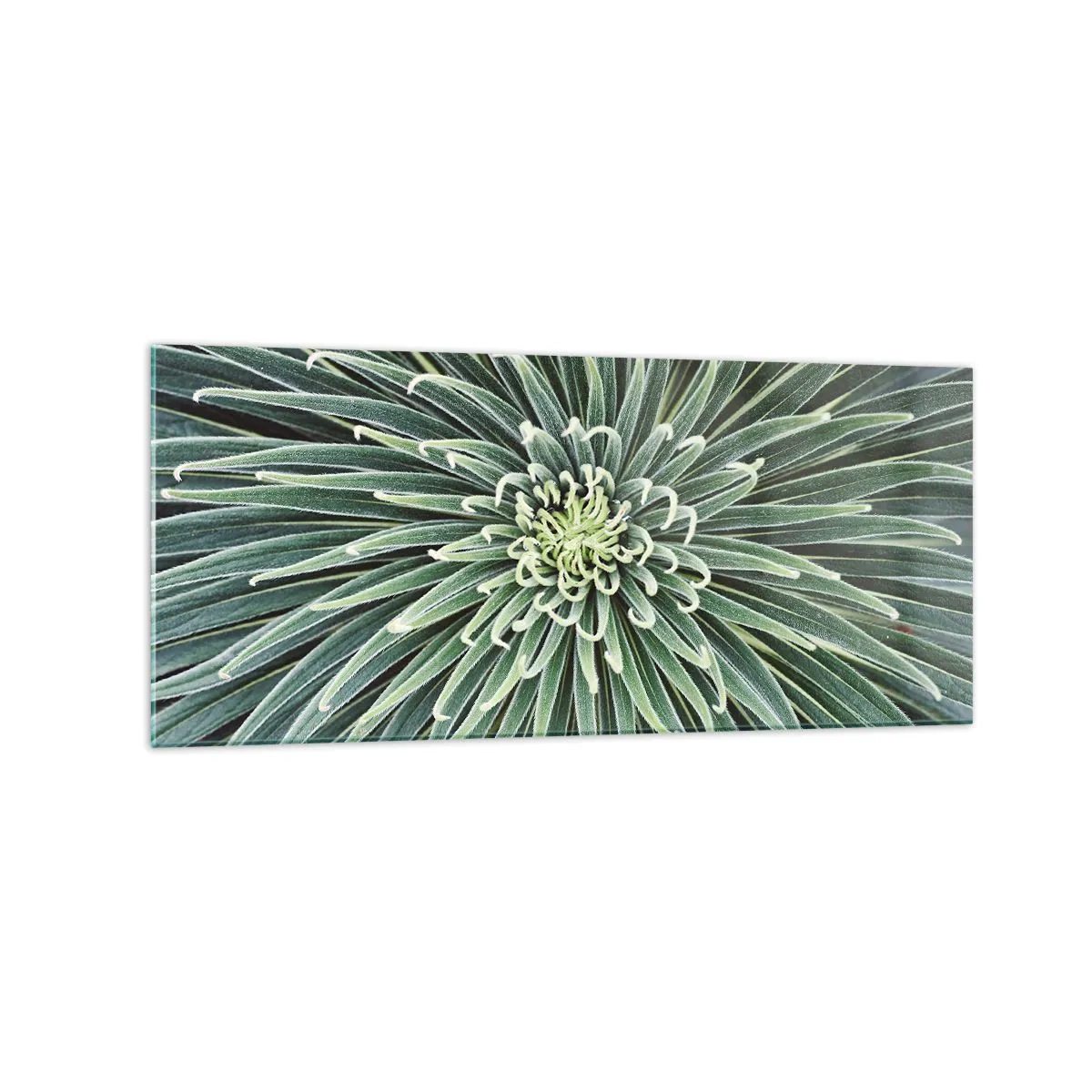 Tablou pe sticlă - Nașterea unei stele - 120x50 cm