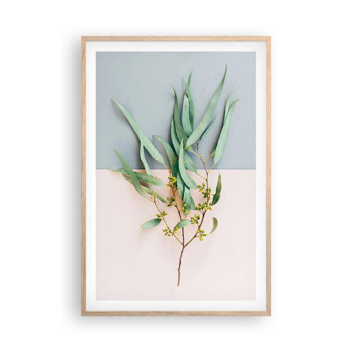 Poster în ramă de stejar deschis - Subtilitate pastelată - 61x91 cm