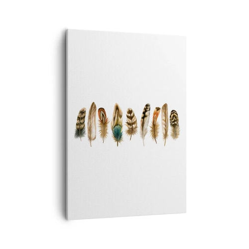 Tablou pe pânză - Variație cu pene - 50x70 cm