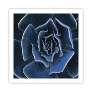 Poster - Floare de deșert - 60x60 cm