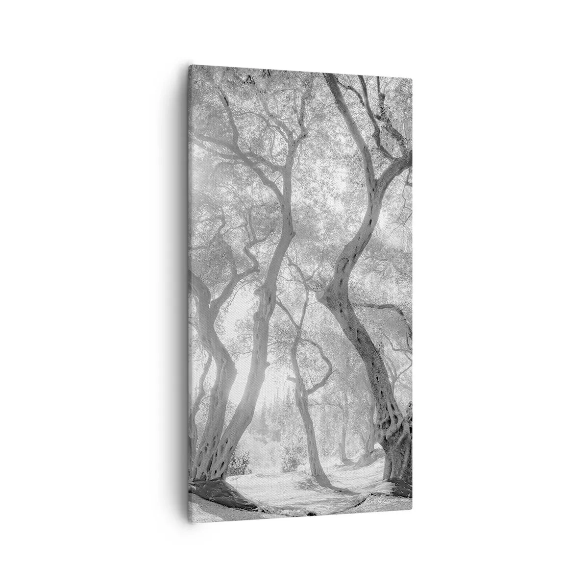 Tablou pe pânză - Într-o livadă de măslini - 55x100 cm