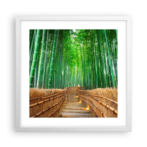 Poster în ramă albă - Esența naturii asiatice - 40x40 cm