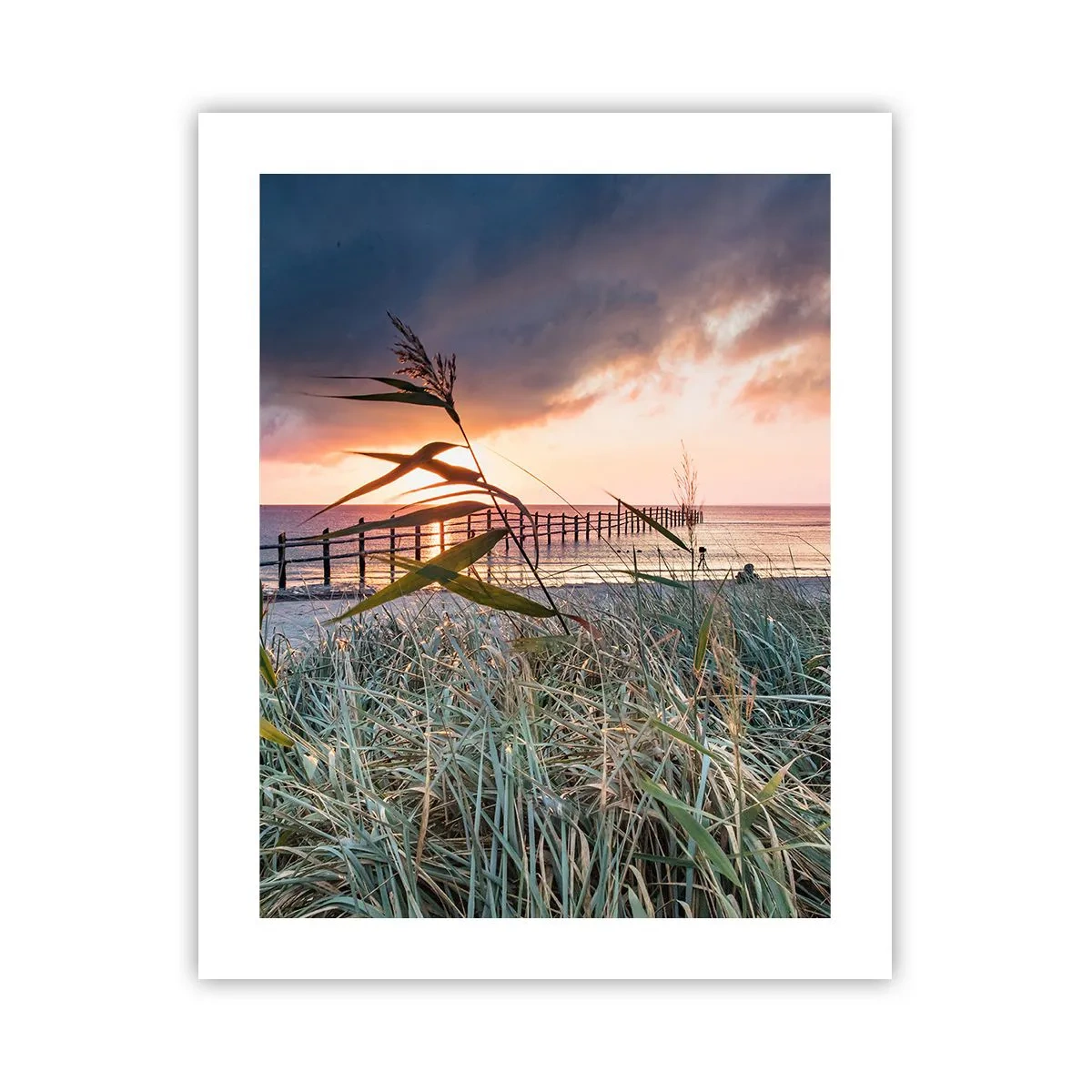 Poster - Nu trece cu vântul - 40x50 cm