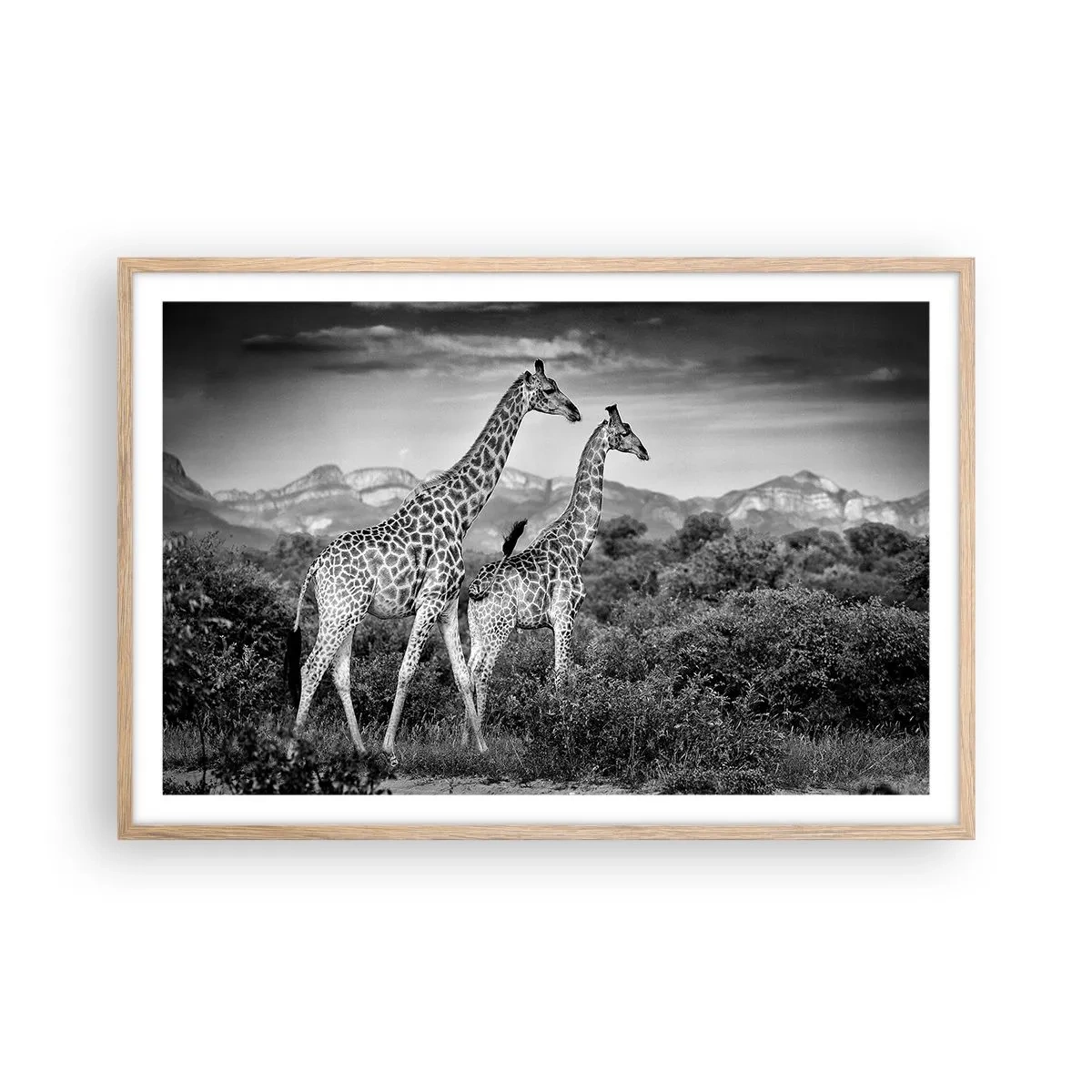 Poster în ramă de stejar deschis - Clasele superioare din Africa - 91x61 cm