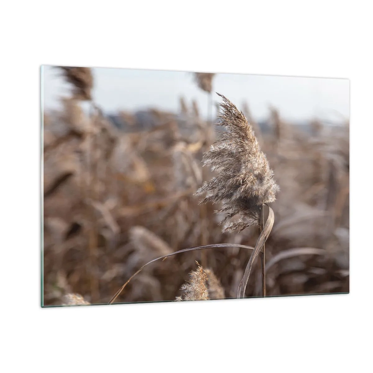 Tablou pe sticlă - E timpul să zbori cu vântul - 120x80 cm