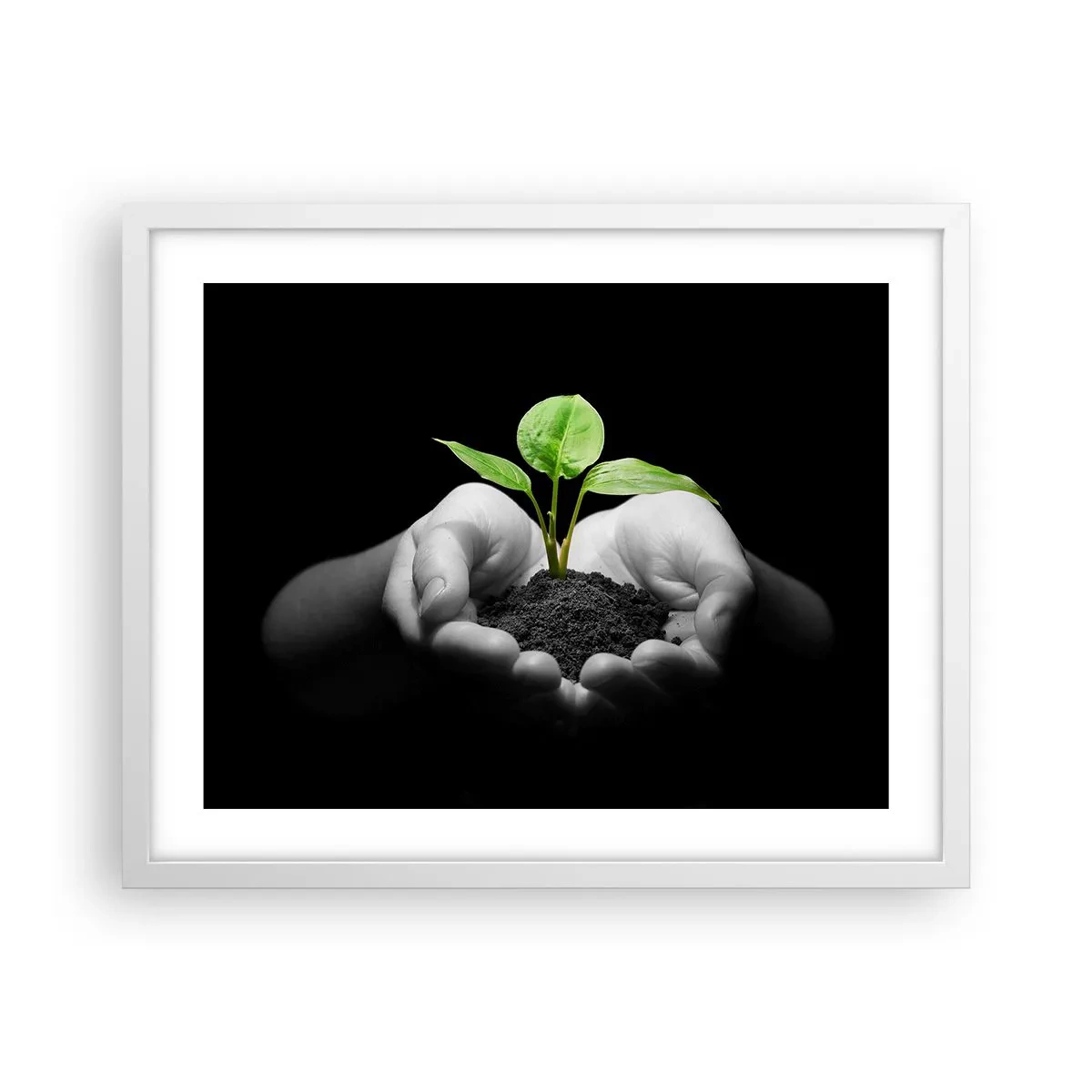 Poster în ramă albă - Iubesc natura, o protejez - 50x40 cm